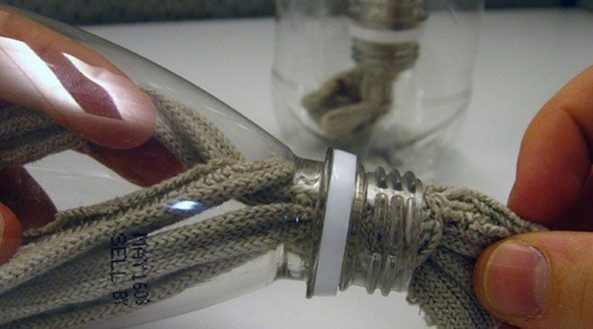 Hydroponics For Beginners