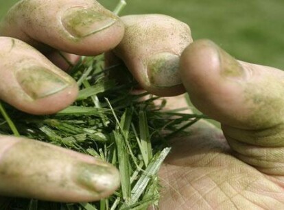 I Don't Have a Green Thumb