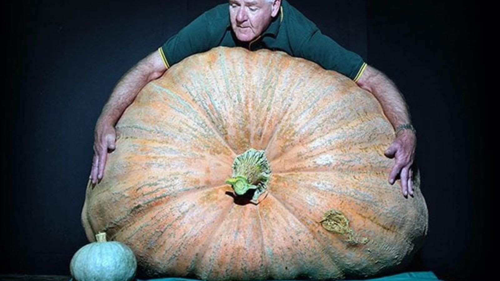 A man wearing a green shirt laying on a gigantic squash with a smaller and normal-sized crop on the side
