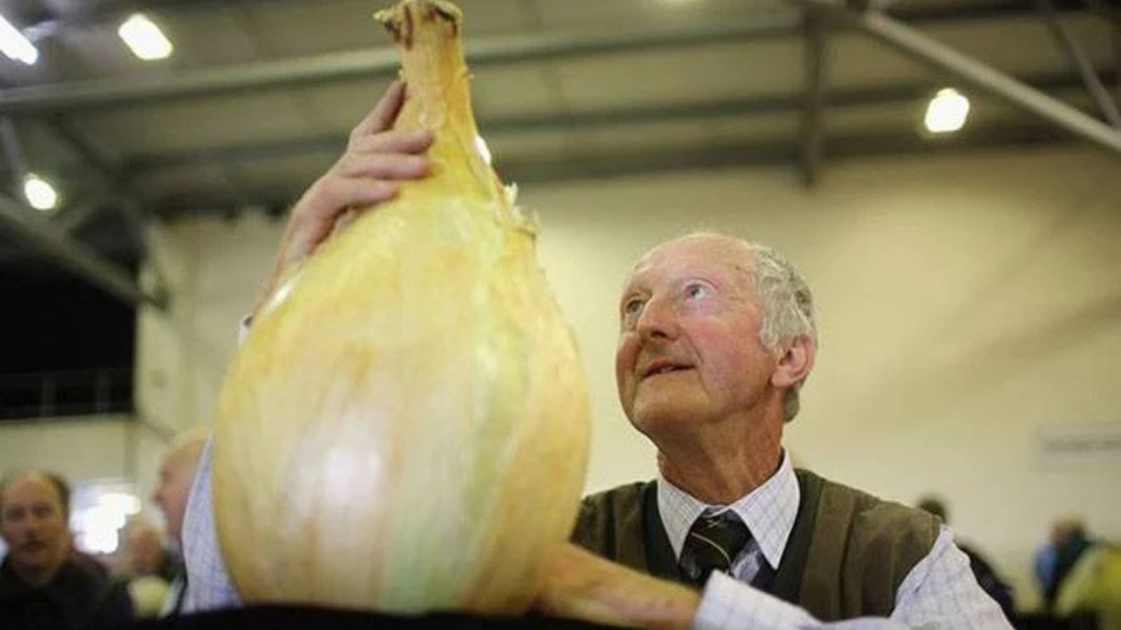 Peter Glazebrook with his world record onion with Peter looking at the vegetable 