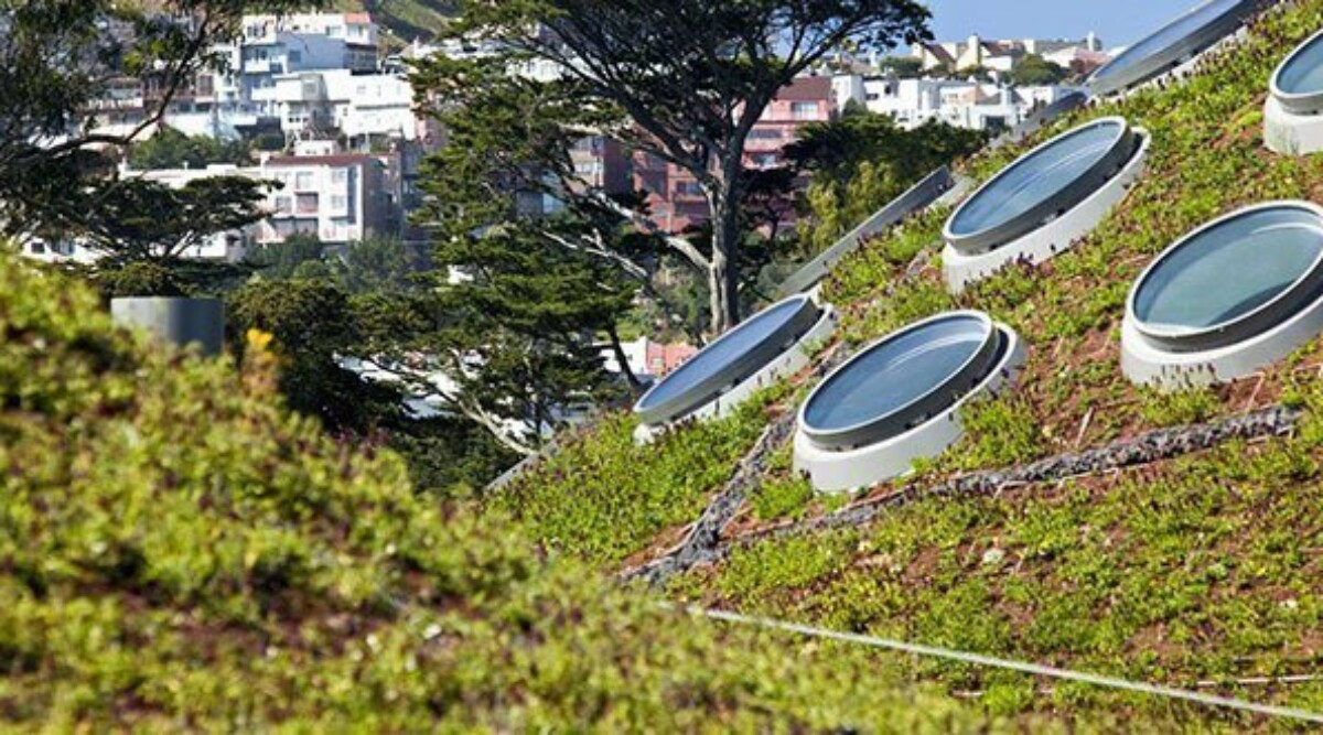 Green Roof Pictures