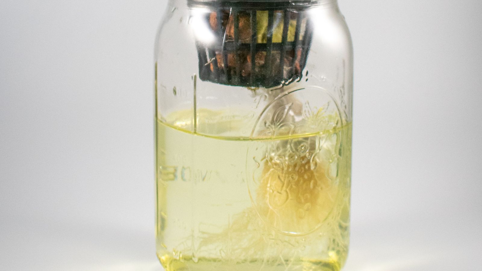 A close-up shot of a nutrient-rich water solution in a jar with a developing plant in a well lit area