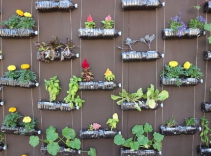 A shot of a large composition of plastic bottles hanging on a brown wall, showcasing which plastics are safe
