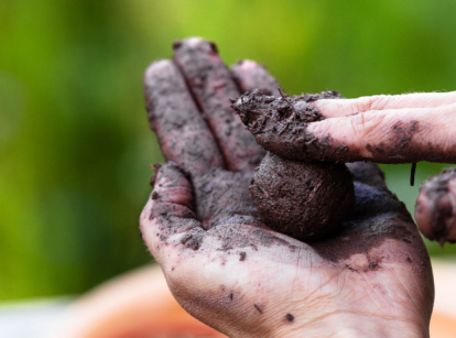 How to make seed bombs.