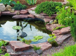 A close-up shot of a man-made puddle, placed alongside plants and flowers, showcasing how to build a garden pond