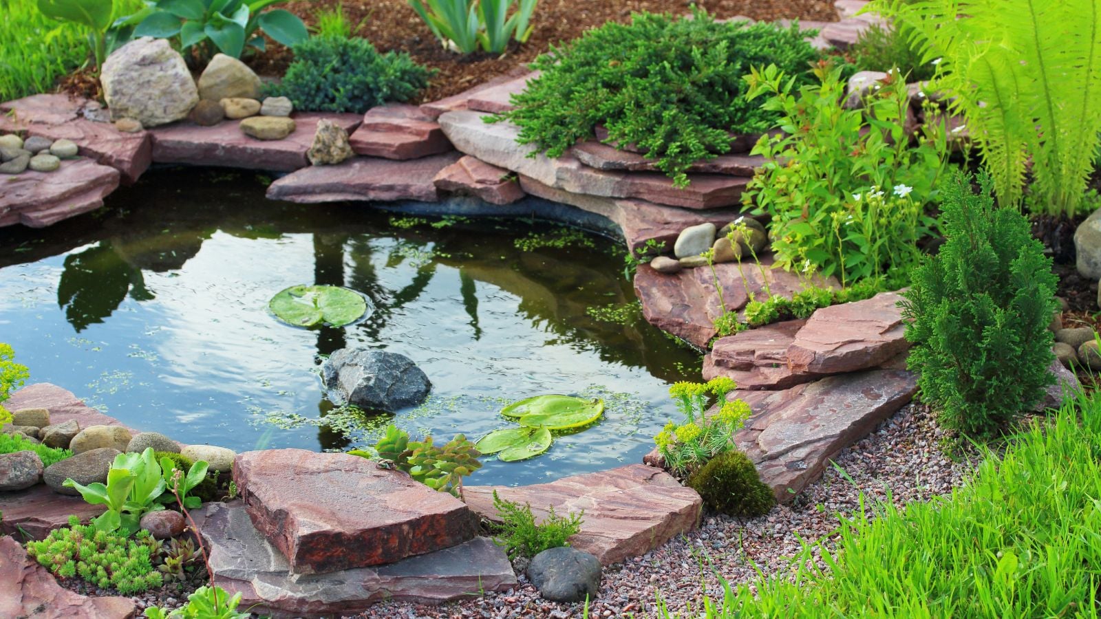 A close-up shot of a man-made puddle, placed alongside plants and flowers, showcasing how to build a garden pond