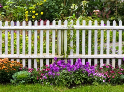 A close-up shot of a white picket fencing alongside plants and flowers, showcasing how to choose a garden fence