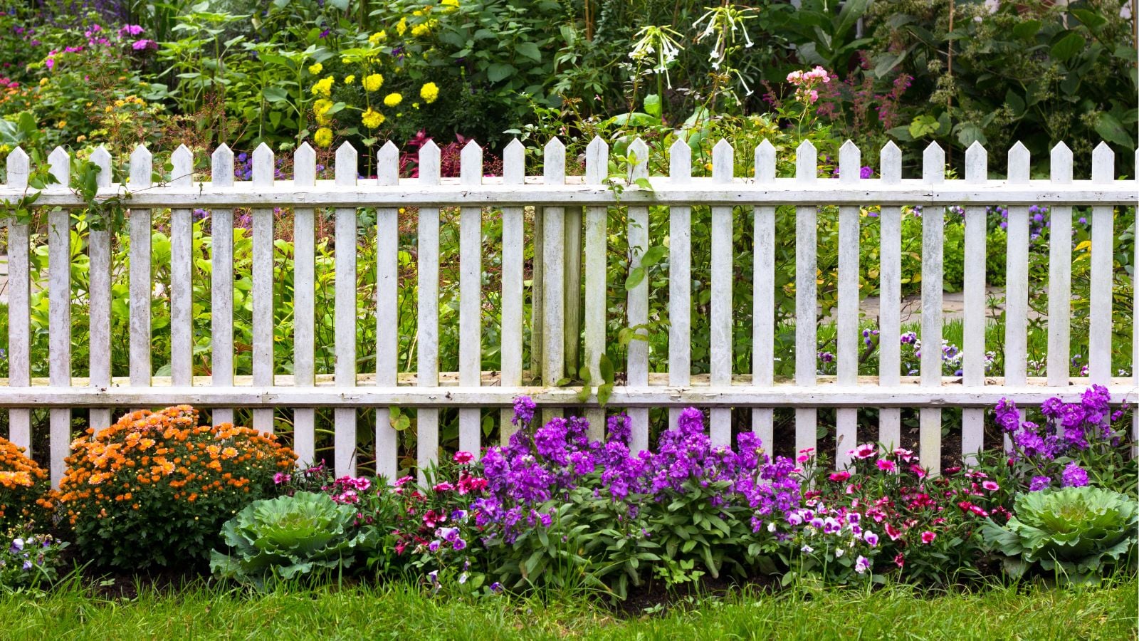 A close-up shot of a white picket fencing alongside plants and flowers, showcasing how to choose a garden fence