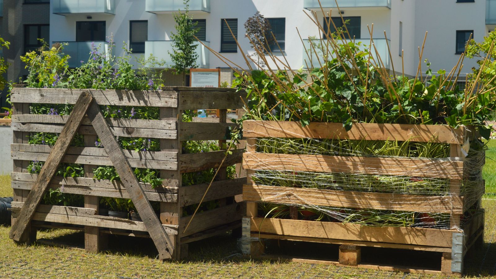 A shot of several repurposed wooden fences made into large planters, all placed in a well lit area outdoors