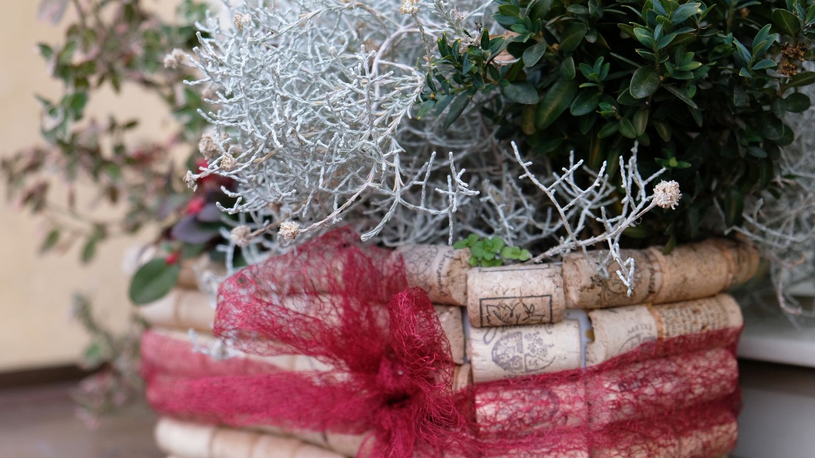 A close-up shot of a pot, covered in old wine corks, with the pot filled with various plants in a well lit area indoors