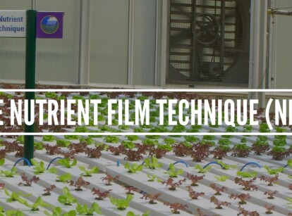 Nutrient Film Technique (NFT) System