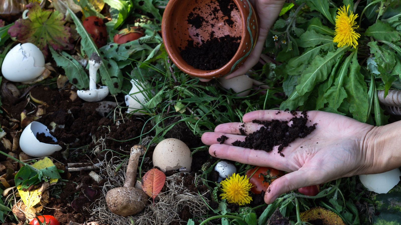 A person's hand scatters dark, rich organic matter over a colorful garden bed filled with leafy plants, small flowers, and decorative stones.