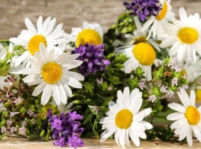 A close-up shot of a small pile of freshly harvested flowers on a wooden surface, showcasing creating a medicinal herb garden