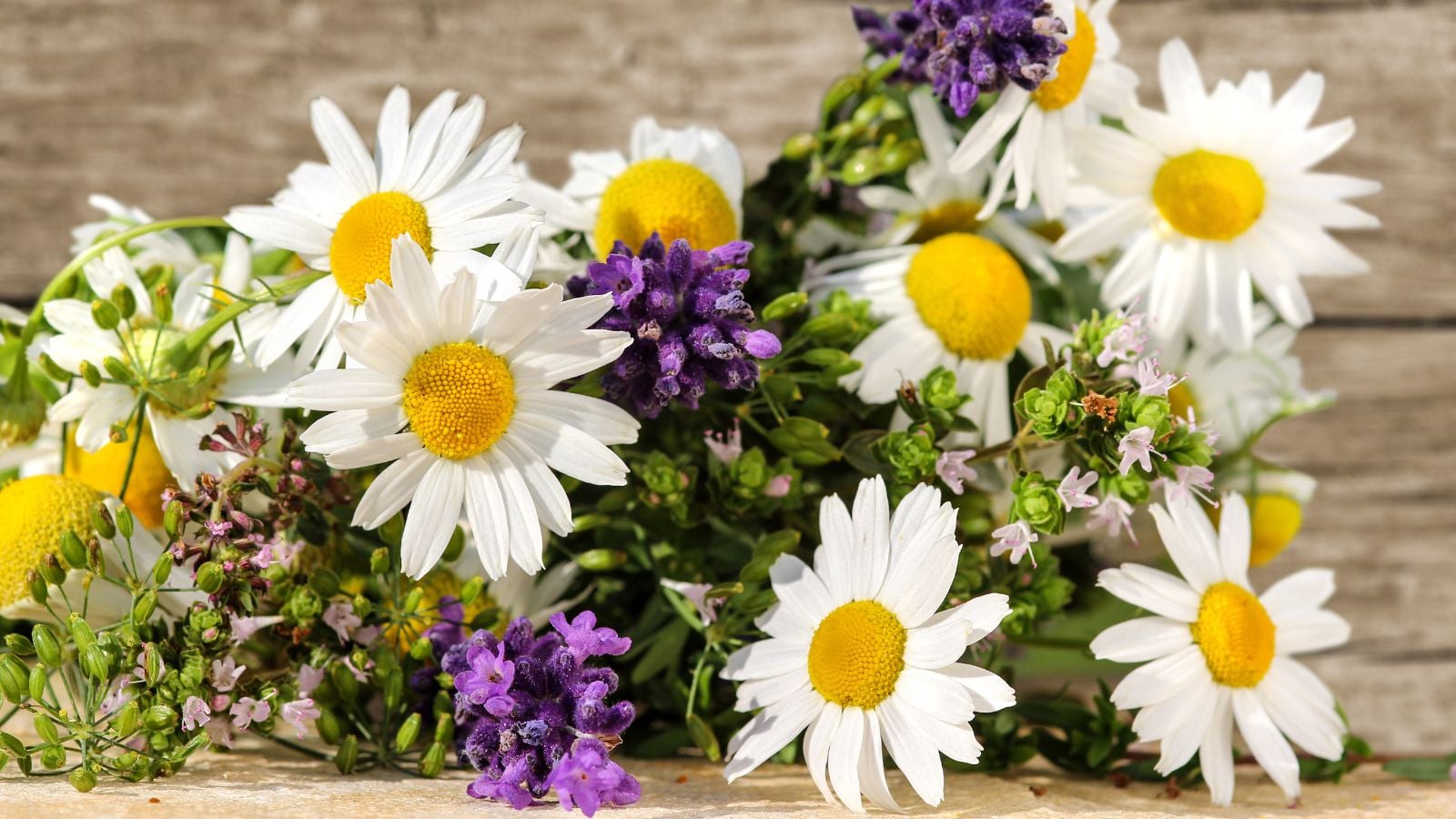 A close-up shot of a small pile of freshly harvested flowers on a wooden surface, showcasing creating a medicinal herb garden