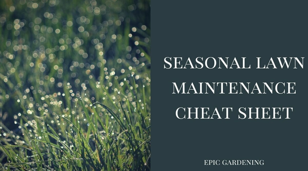 Lawn Maintenance: Your Seasonal Cheat Sheet