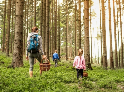 A family foraging for food, walking through a forest with many tall trees as both parents and children walk through the forest