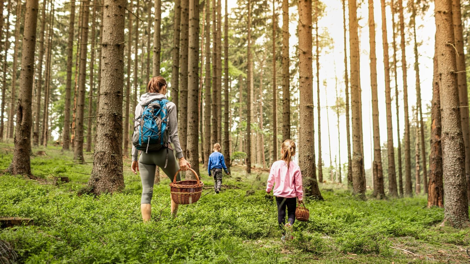 A family foraging for food, walking through a forest with many tall trees as both parents and children walk through the forest