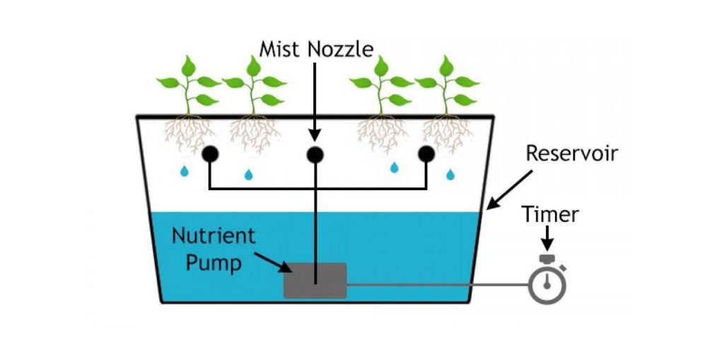 Aeroponic System