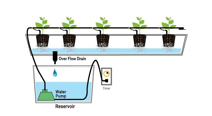 Hydroponic Drip System