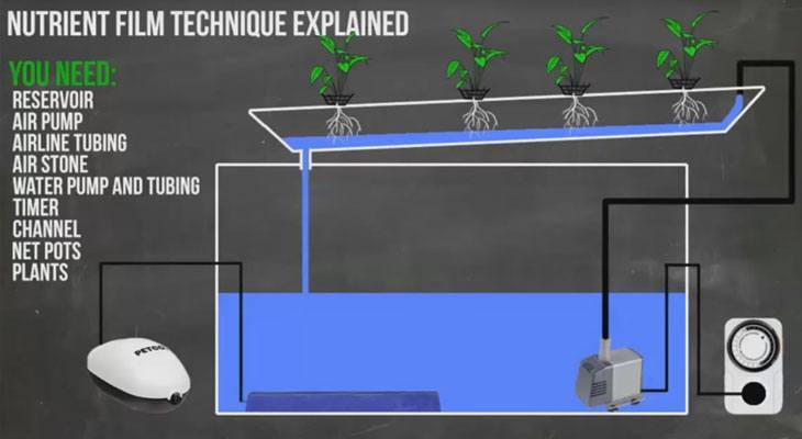 Nutrient Film Technique System