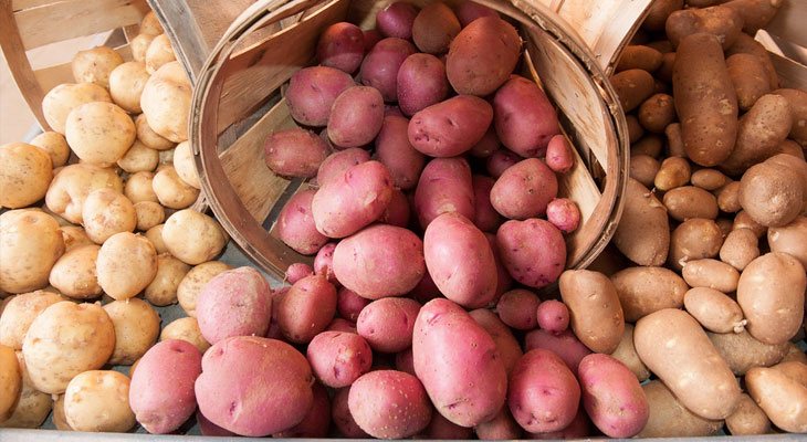 Red baby potatoes spill out of a wooden harvesting basket.