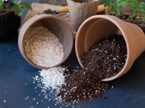 A close-up shot of several tipped over pots with spilled ground perlite and vermiculite, mixed with soil