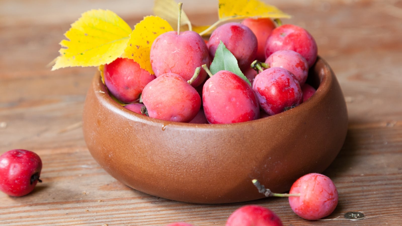 Can you eat crabapples