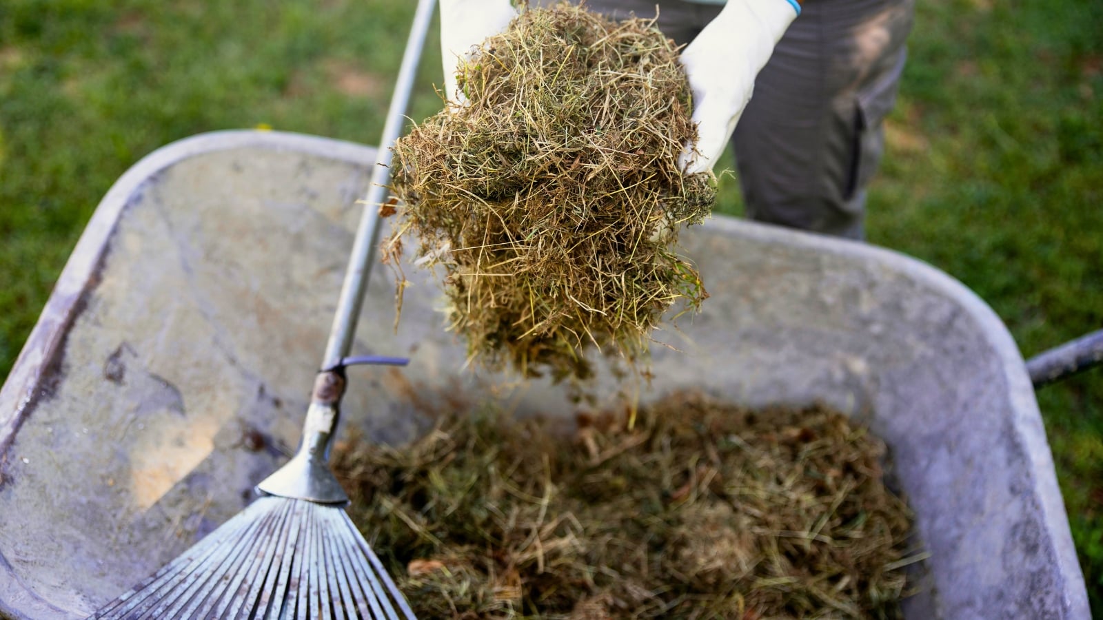 Mulch Ideas to Save Money