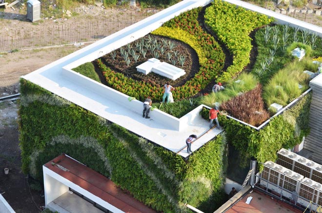 Green Roof