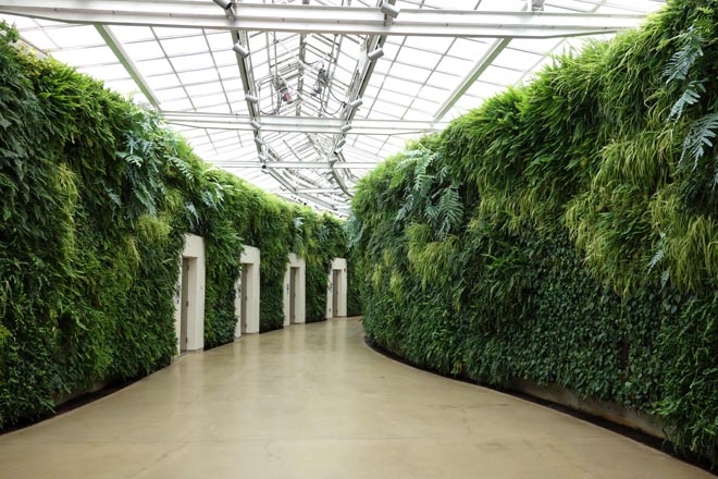 Green Wall