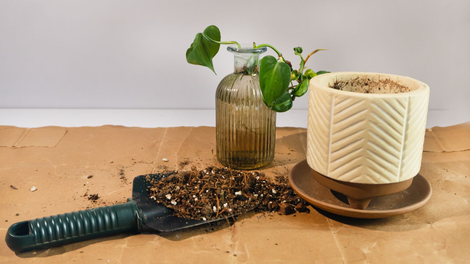 An area covered in brown paper to catch dirt during the repotting of a houseplant having variegated leaves