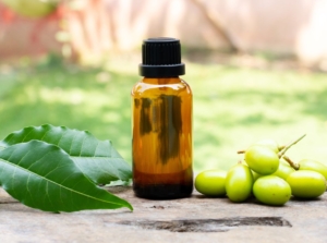 A close-up shot of a bottle of neem oil