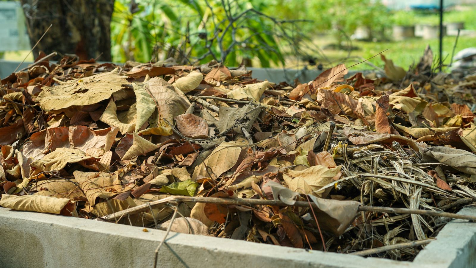 A shot of a container filled with dead and dry foliage in a well lit area outdoors