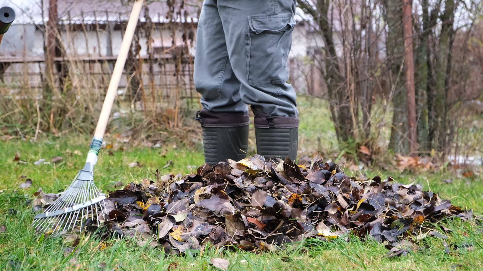 A shot of a person raking a pile of waste foliage in a garden site outdoors