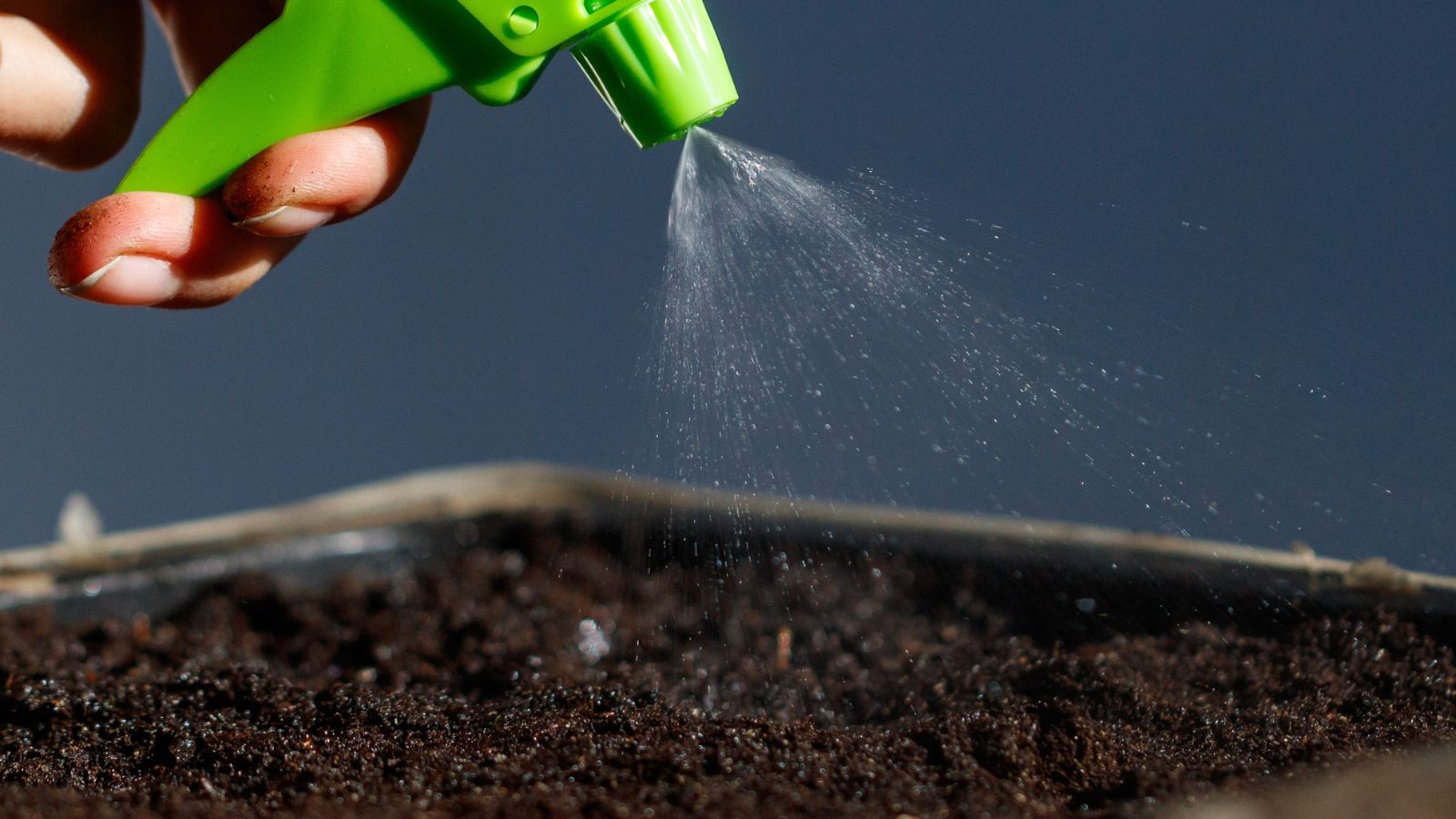 A shot of a person using a spray bottle to drench soil