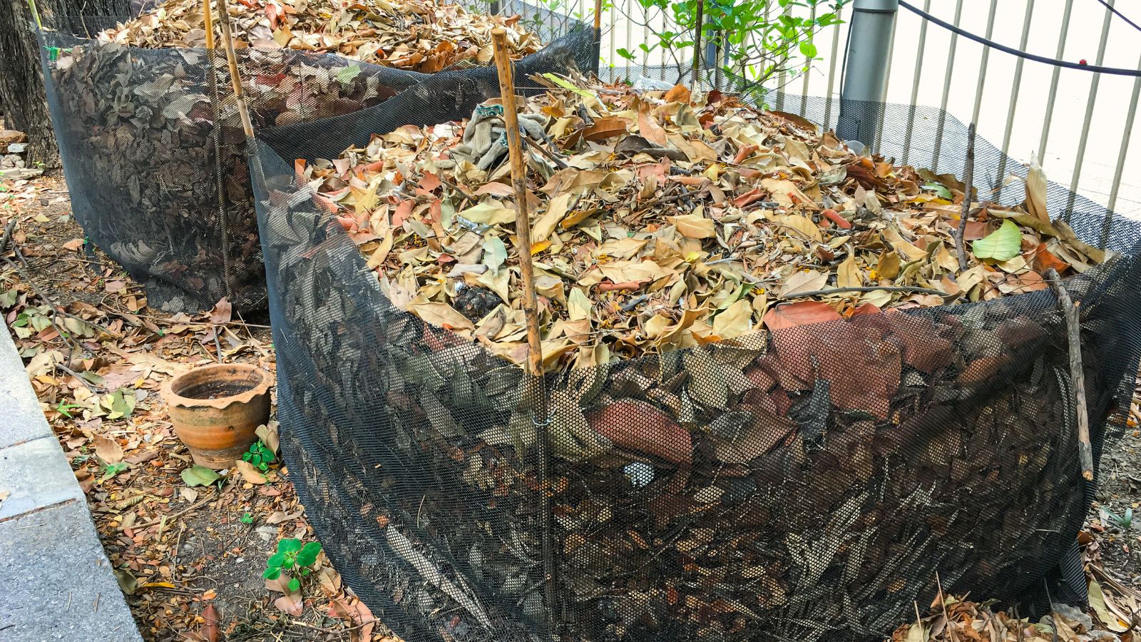 A shot of a pile of foliage in a container outdoors