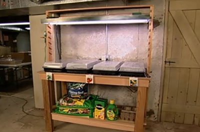 Indoor-Outdoor Planting Bench With Grow Light