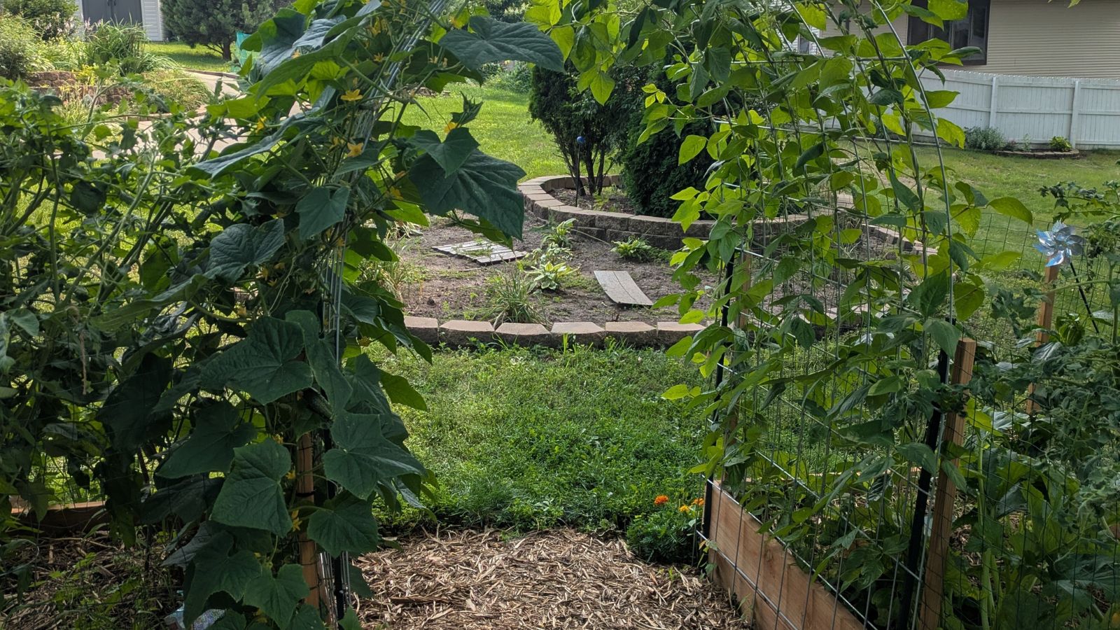 A close-up shot of a wire arch support structure placed between two raised beds outdoors