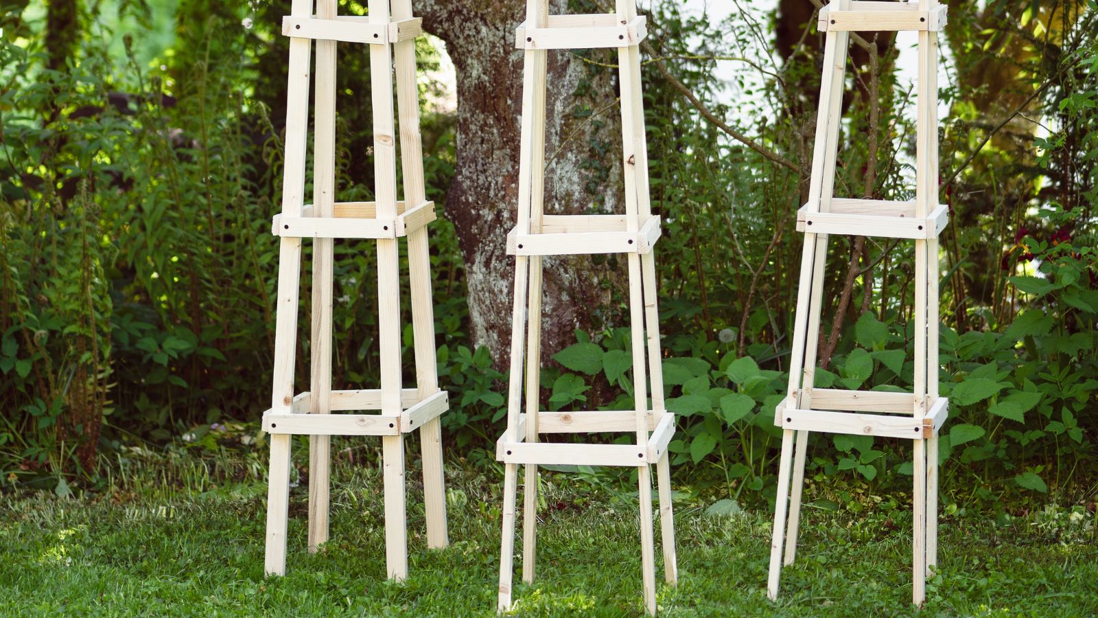 Three pieces of garden obelisks appearing to be unpainted made of wood with greens in the background