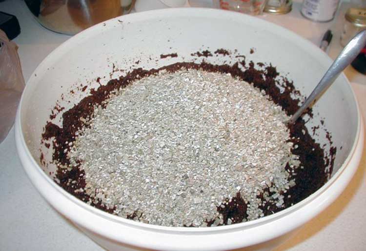 Coco coir and vermiculite as a substrate for growing oyster mushrooms