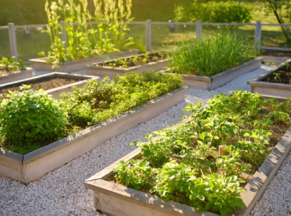 15 Inspiring and Free Gardening Documentaries