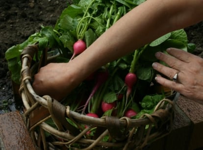 Become a better gardener