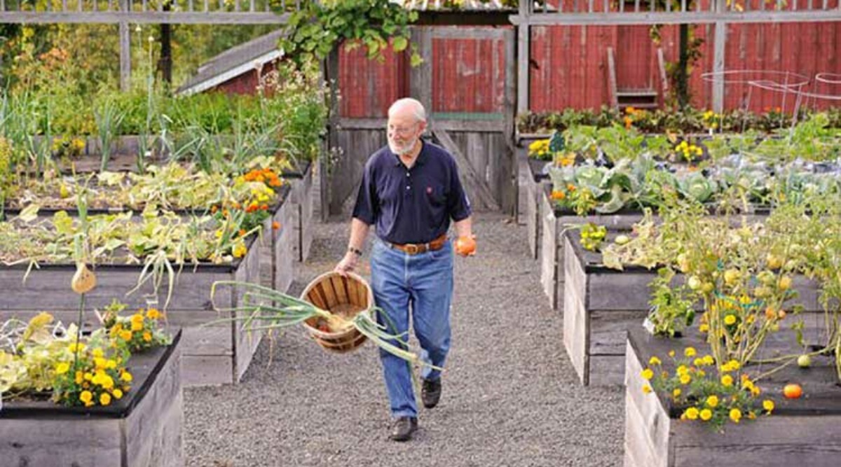 Countertop Raised Beds