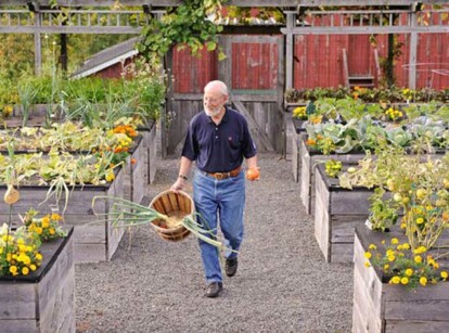 Countertop Raised Beds