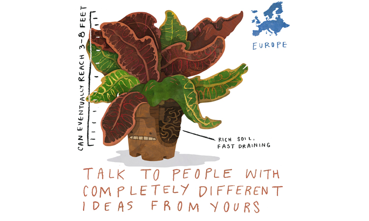 Croton quick care guide