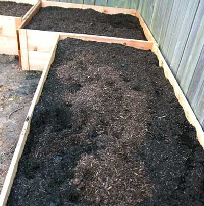 Cedar Raised Boxes