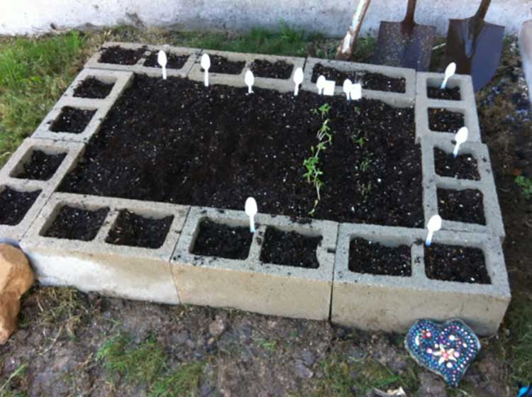 Cinder Block Raised Bed