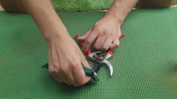 Cleaning Felco 2 pruners