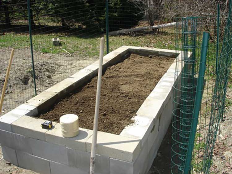  Concrete Vegetable Garden