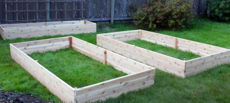 DIY Basic Raised Beds